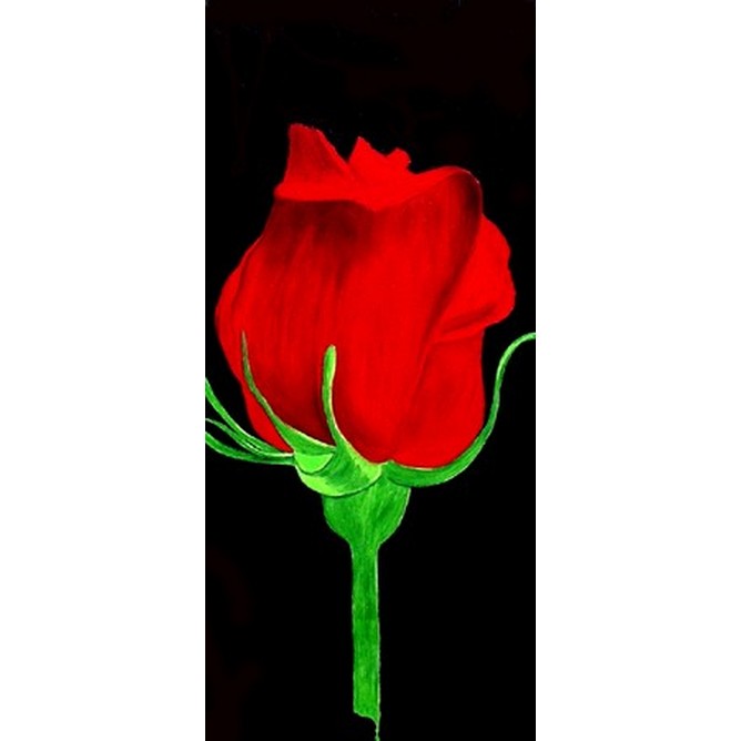 Rosa